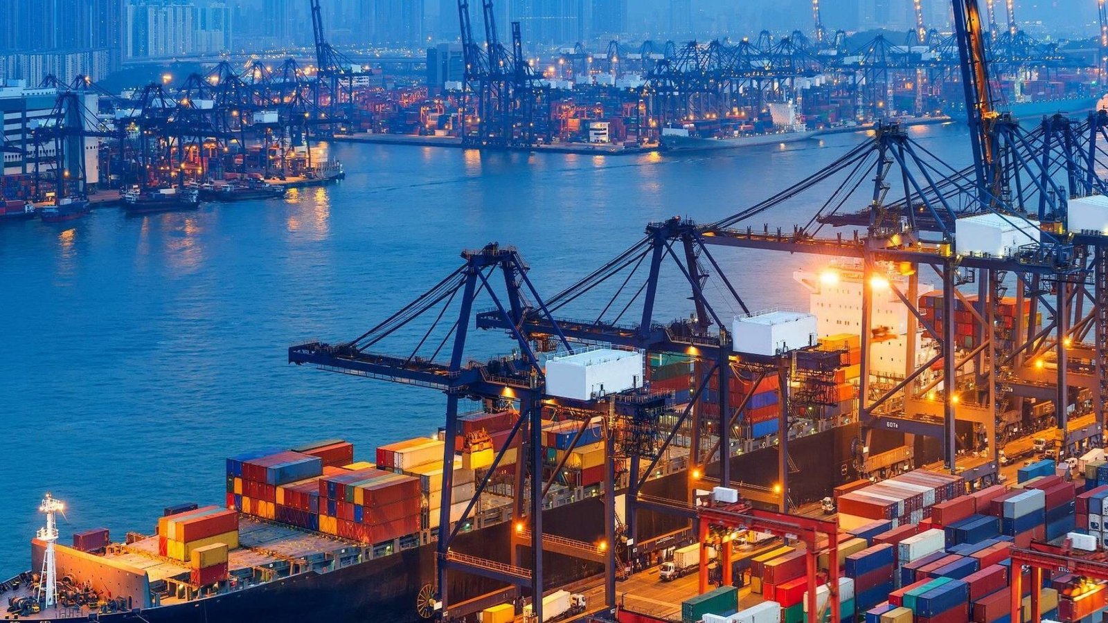 The Future of Freight Forwarding Companies in Dubai