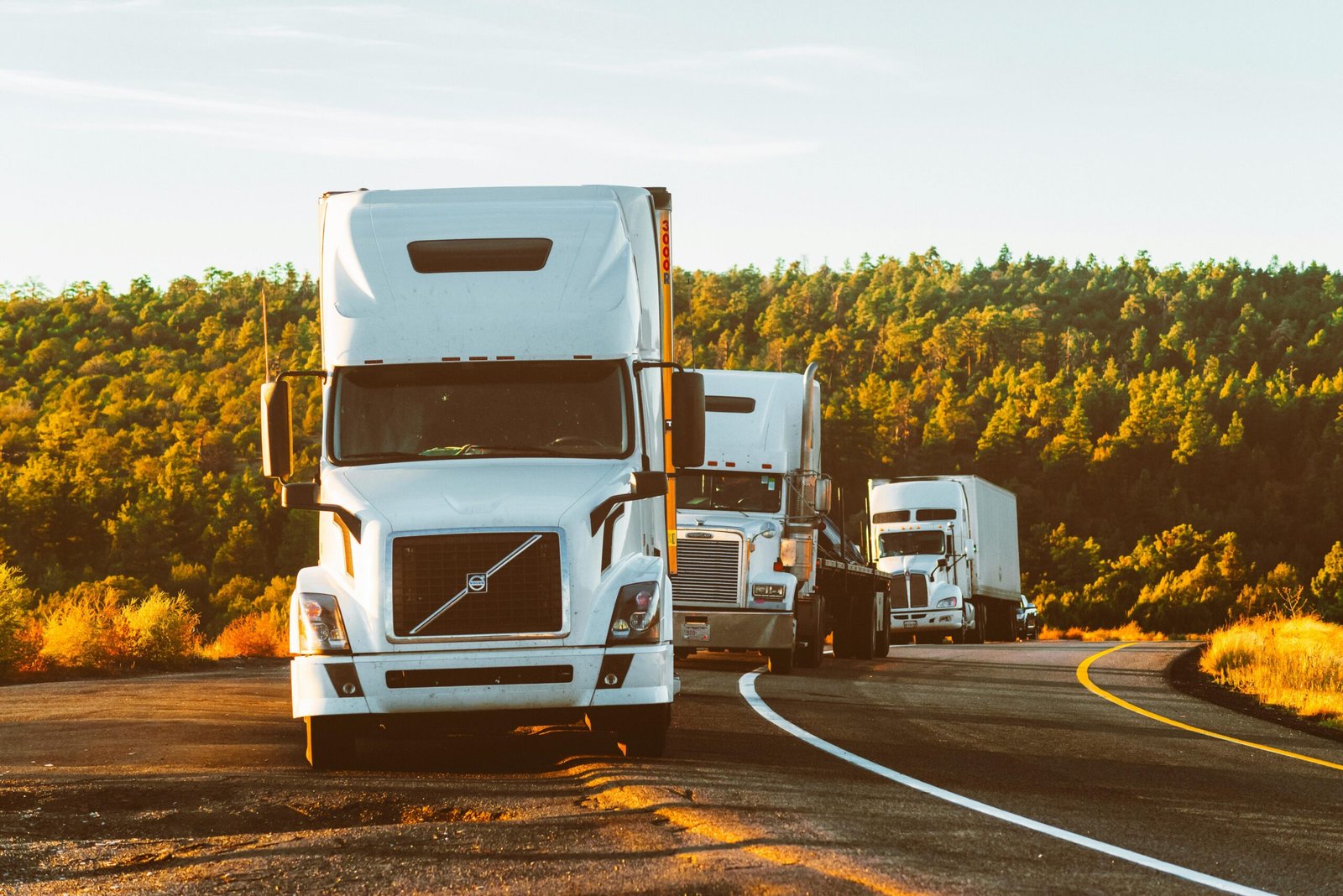Cross Border Freight Transport
