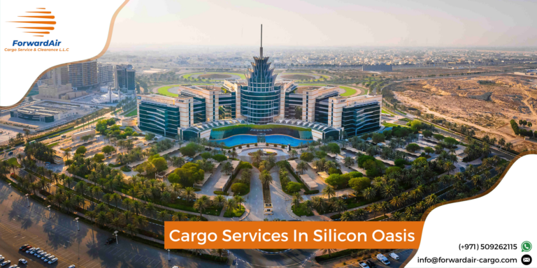 Cargo Services In Silicon Oasis